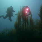 Mytilini Shipwreck Kassandra
