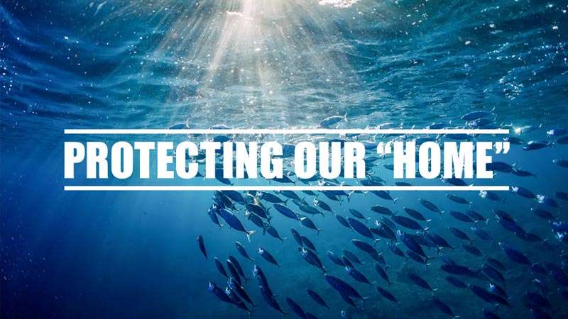 PROTECTING OUR HOME