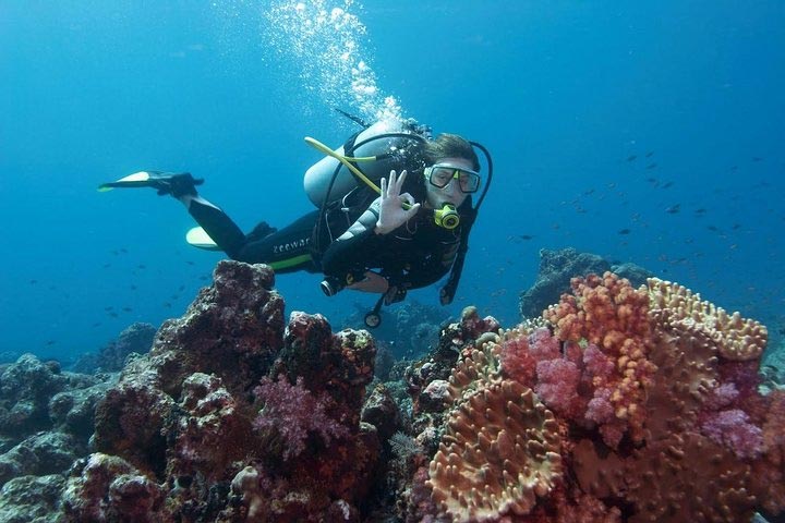Scuba Diving Quide