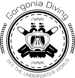 Gorgonia Dive Center